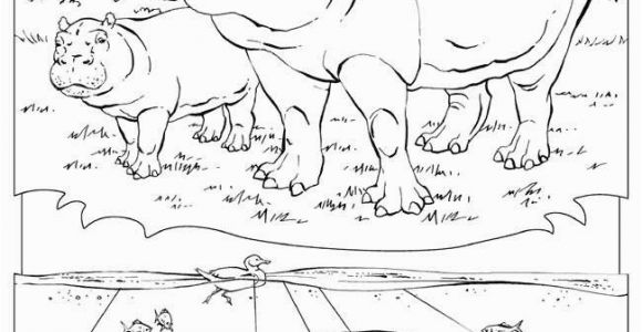National Geographic Coloring Pages Animal Coloring Picture Fresh Animal Coloring Pages National