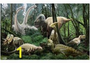 National Geographic Dinosaur Wall Mural 13 Best Bedroom Images