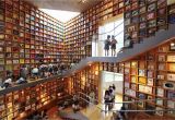 National Geographic Murals 14 Epic Libraries Around the World