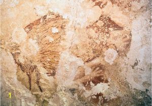 National Geographic Murals Rock Art Of Ages Indonesian Cave Paintings are 40 000 Years Old