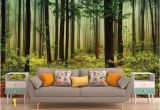 Nature Murals for Walls forest Wall Mural forest Wallpaper forest Tree Wall Mural Tree