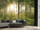 Nature Wall Mural Ideas 1 Wall forest Giant Mural Sportpursuit