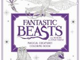 Newt Scamander Coloring Pages 27 Awesome Coloring Books You Ll Want to Start Using asap