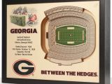 Nfl Stadium Wall Murals Georgia Bulldogs 25 Layer Wooden Replica Stadiumview 3d Wall Art