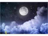 Night Sky Wall Mural Night Sky Wall Mural