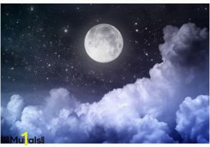 Night Sky Wall Mural Night Sky Wall Mural