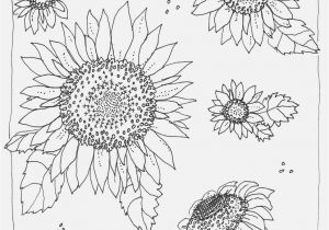 No Download Coloring Pages Awesome Coloring Books for Adults Download and Print for Free to