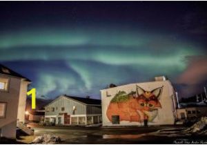 Northern Lights Wall Mural where It All Es to Her