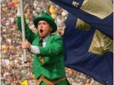 Notre Dame Stadium Wall Mural 25 Best Notre Dame athletics Images