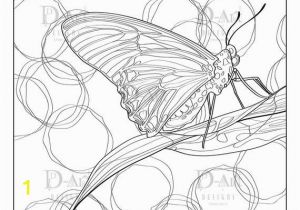 Number Coloring Pages for Adults butterfly Coloring Page butterfly Digi Adult Coloring Page Nature Insect Instant Download Leaf Moth butterfly Drawing