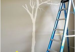 Oak Tree Wall Mural 162 Best Painted Trees Images