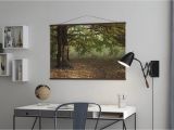 Oak Tree Wall Mural evening Sun Beams On Autumn Leaves Of Oak Tree Evocative