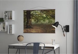 Oak Tree Wall Mural evening Sun Beams On Autumn Leaves Of Oak Tree Evocative