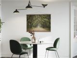 Oak Tree Wall Mural Oak Tree Road Trendy Poster Wall