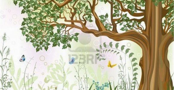 Oak Tree Wall Mural Vector Iillustration Of An Oak Tree In A Meadow