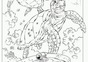 Ocean Scenes Coloring Pages Realistic Sea Turtle Coloring Pages for Adults