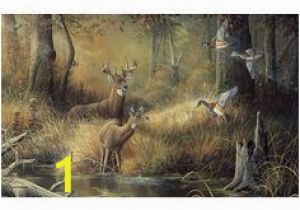 October Memories Wildlife Wall Mural 9 Best Shirley S Murals Images