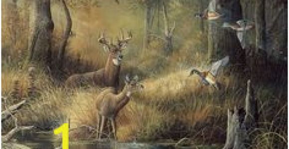 October Memories Wildlife Wall Mural 9 Best Shirley S Murals Images