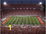 Ohio State Stadium Wall Mural 319 Best Ohio State Buckeyes Images