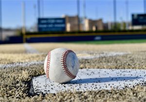 Ohio State Stadium Wall Mural Baseball Stadium Frank Eck Baseball Stadium Vinyl Wall