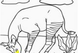 Okapi Coloring Page 102 Best Okapis Images