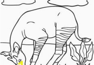 Okapi Coloring Page 102 Best Okapis Images