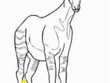 Okapi Coloring Page 12 Best Africa for Kids Images On Pinterest