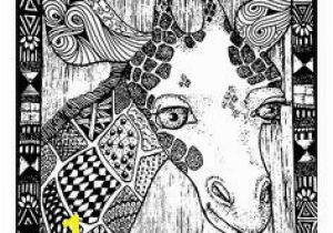 Okapi Coloring Page 384 Best Coloring Images