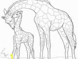 Okapi Coloring Page Print Coloring Page and Book Color Fox Animals Coloring P