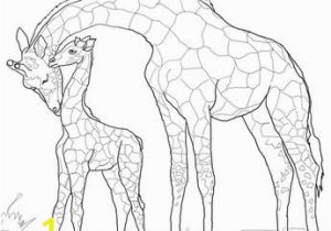 Okapi Coloring Page Print Coloring Page and Book Color Fox Animals Coloring P