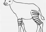 Okapi Coloring Page Verschiedene Bilder Färben Ausmalbilder Waldtiere