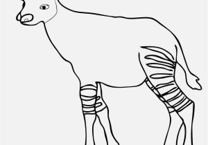 Okapi Coloring Page Verschiedene Bilder Färben Ausmalbilder Waldtiere