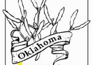 Oklahoma State Flower Coloring Page 405 Best Coloring Pages Images