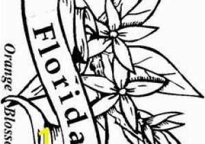 Oklahoma State Flower Coloring Page 85 Best Florida Images On Pinterest