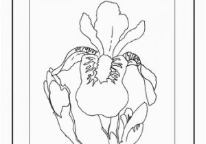 Oklahoma State Flower Coloring Page Oklahoma State Flower Coloring Page