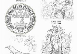 Oklahoma State Seal Coloring Page Idaho State Symbols Coloring Pages Idaho State Bird Coloring Page