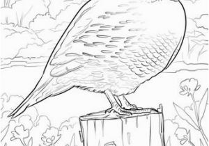 Oklahoma State Seal Coloring Page Idaho State Symbols Coloring Pages Idaho State Bird Coloring Page