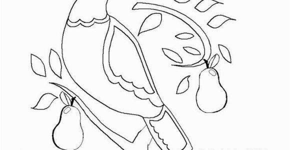 Olaf the Snowman Coloring Pages Snowman Coloring Pages Best Dltk Coloring Pages 0 0d Spiderman