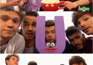One Direction Wall Mural E Direction to Appear On Sesame Street