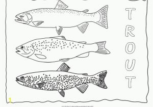 One Fish Two Fish Coloring Pages Printable Freshwater Fish Coloring Pages Perfect Coloring Freshwater