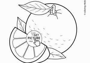 Orange Juice Coloring Page orange Fruit Drawing at Getdrawings