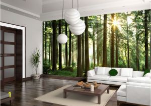 Order Wall Murals Online Sunbeam Through Trees Wall Mural ÑÐ¾ÑÐ¾Ð¾Ð±Ð¾Ð¸ Tapet Wallmural