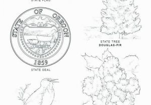 Oregon State Flag Coloring Page States Map Coloring Page 11 Brazil Flag Coloring Page Printable