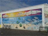 Outdoor Beach Wall Murals Aktuelle Informationen Zu Coney island Brooklyn Aktuelle