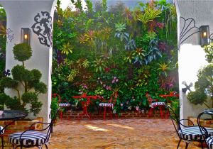 Outdoor Wall Murals for the Garden Living Wall In Miami Living Walls