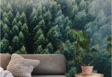 Outdoor Wall Murals Wallpaper forests From the Sky Ii Wall Mural Wallpaper forest