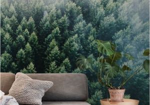 Outdoor Wall Murals Wallpaper forests From the Sky Ii Wall Mural Wallpaper forest