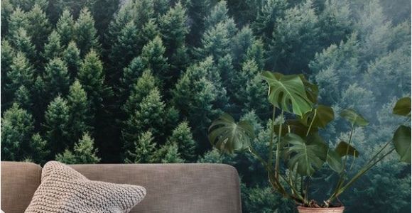 Outdoor Wall Murals Wallpaper forests From the Sky Ii Wall Mural Wallpaper forest