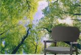 Outdoor Wall Murals Wallpaper Sun Breaking Treetops forest Square Wall Murals