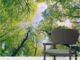 Outdoor Wall Murals Wallpaper Sun Breaking Treetops forest Square Wall Murals